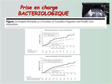 Ppt Prise En Charge D’une Endocardite Infectieuse Sur Prothese Powerpoint Presentation Id