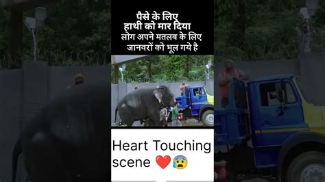 Heart Touching Scene 😰 Youtube