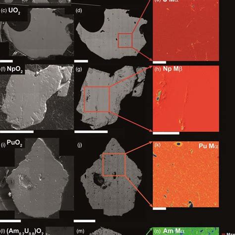 Secondary electron images (SE, left column) (a,c,f,i,l), backscattered ...