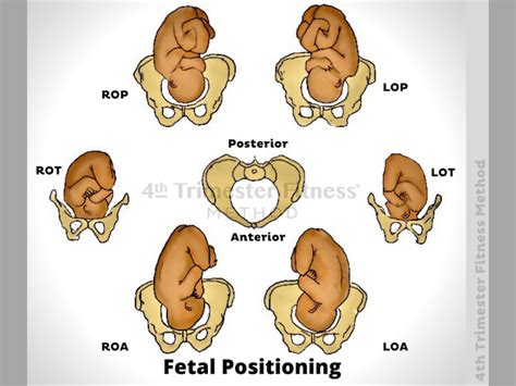 How To Open The Pelvis For Labor And Birth — 4th Trimester Fitness Method