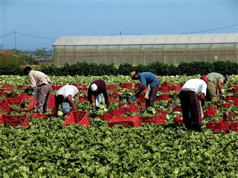 Us Department Of Agriculture Releases Farm Labor Report Showing