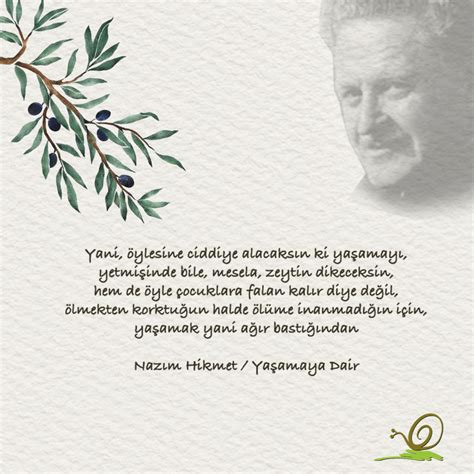 Zeytin Ile Ilgili Sözler freeofdesign art