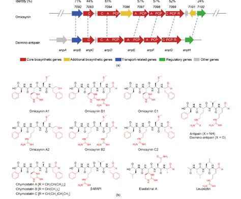 Genetic Organizations And Chemical Structures Of Omicsynins And