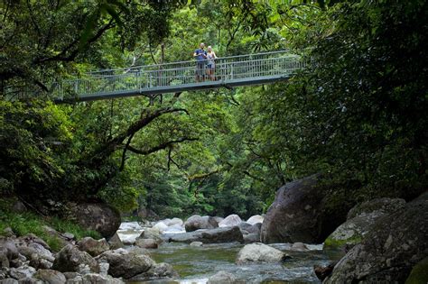 Cairns Aboriginal Cultural Tour Daintree Rainforest Tours Mossman Gorge