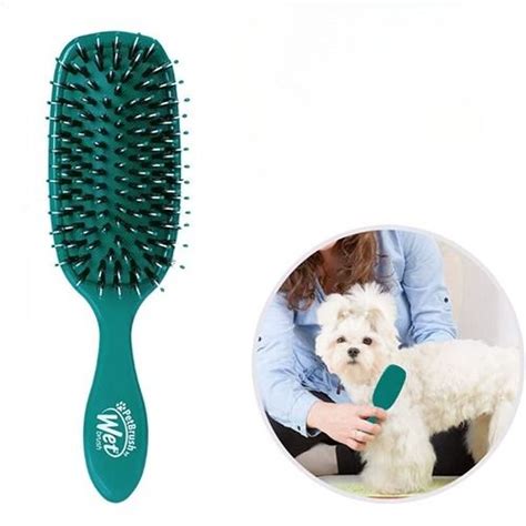 Best Brush For Long Hair Cats: Perfect Grooming Solutions For Furry ...