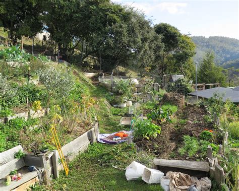 Permaculture Garden Design Examples