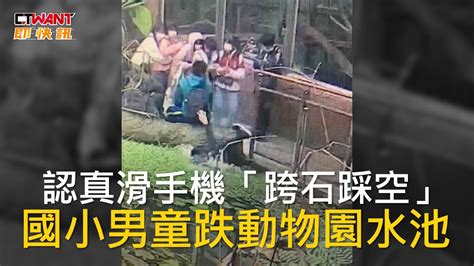 Ctwant 生活新聞 認真滑手機「跨石踩空」 國小男童跌動物園水池 Youtube