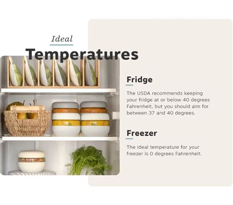 What Temperature Should A Refrigerator Be 11 Freshness Tips Wandp