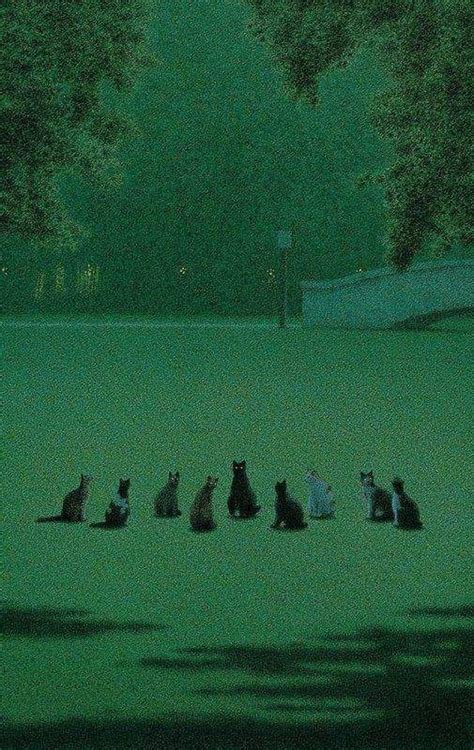 El Eremita On Twitter Quint Buchholz German B 1957 The Cat S