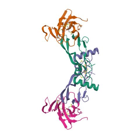 Rcsb Pdb 7ppb 24 Angstrom Crystal Structure Of Bone Morphogenetic