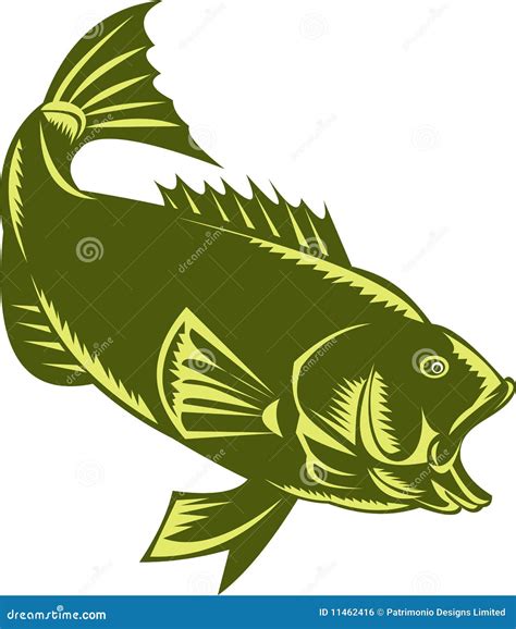 Largemouth Bass Side View Continuous Line Drawing Vector Illustration 231202354