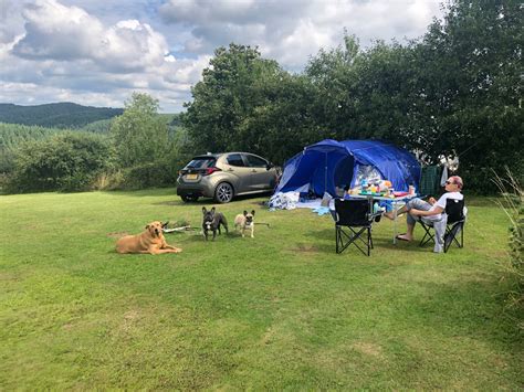 Ferienbauernhof In Der Eifel