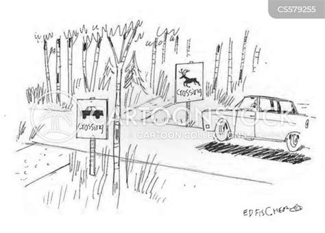 Roads Crossing Cartoons and Comics - funny pictures from CartoonStock