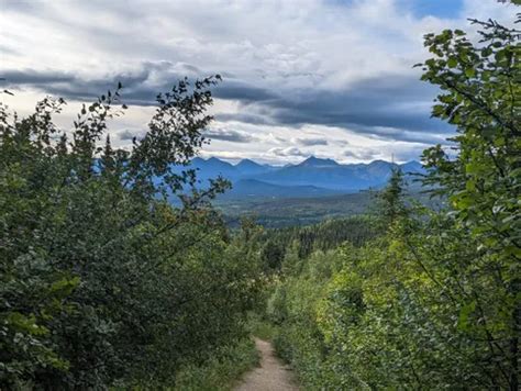 10 Best Hikes and Trails in Denali National Park | AllTrails