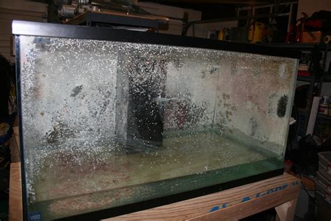 Build an aquarium fish tank set up