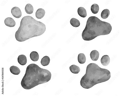 cat paw prints collection of 4 in black and white Stock Illustration ...