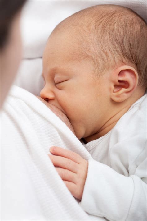 Breastfeeding Free Stock Photo - Public Domain Pictures