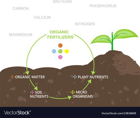 What Is The Use Of Fertilizers In Pakistan Macro Pakistani 47 OFF