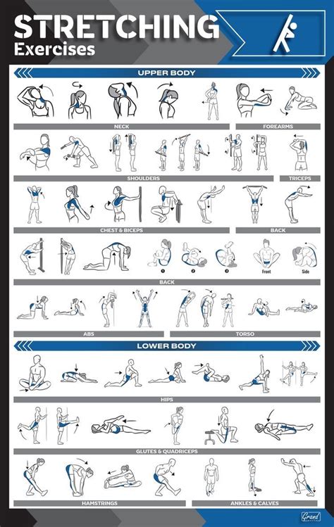 Pin En Workout Prints Ejercicios De Estiramiento Rutinas De