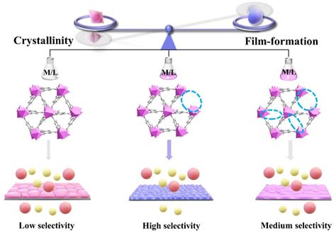 Angew 平衡MOF结晶与成膜之间的结构权衡 太原理工大学化学工程与技术学院