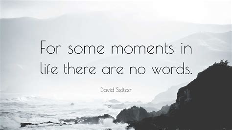 David Seltzer Quote For Some Moments In Life There Are No Words