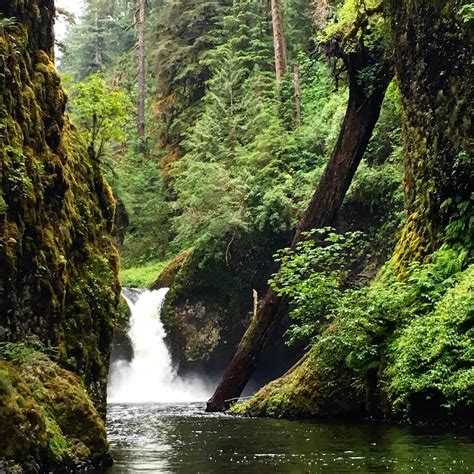 Punch Bowl Falls Waterfall Travel Oregon