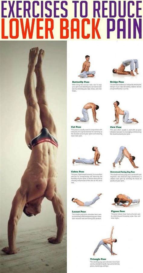 Plank Workout Routine To Flatten Your Abs The Best Workouts Programs