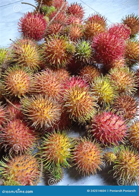 Rambutan Stock Photo Image Of Tropical Food Evergreen 242514604