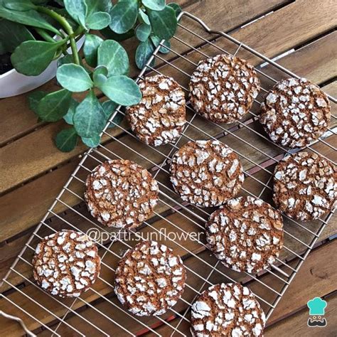 Biscoito De Gengibre Receita Americana Craquelados E Sem Gl Ten