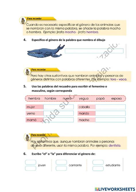 Genero Del Sustantivo Interactive Exercise Live Worksheets