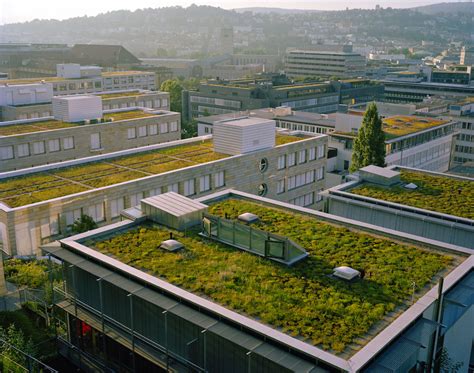 Onderzoek Toont Aan Groen Dak En Zonnepanelen Perfecte Combinatie De