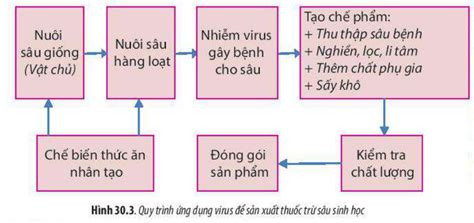 L Thuy T Ng D Ng Virus S N Xu T Thu C Tr S U Sinh H C Sinh