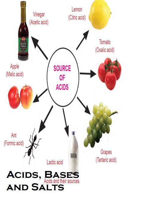 Class 10 Acids Bases And Salts Fact Science Square