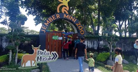 Jember Mini Zoo Buka Dengan Aturan Prokes Masa Pandemi Wisata Edukasi