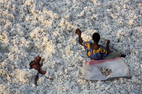 Exhibitions Archives Yann Arthus Bertrand S Photos