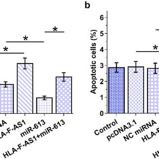 Analysis Of The Role Of Hla F As And Mir In The Proliferation And