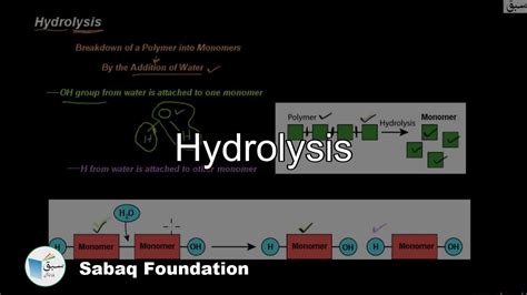 Hydrolysis Biology Lecture Sabaq Pk Youtube