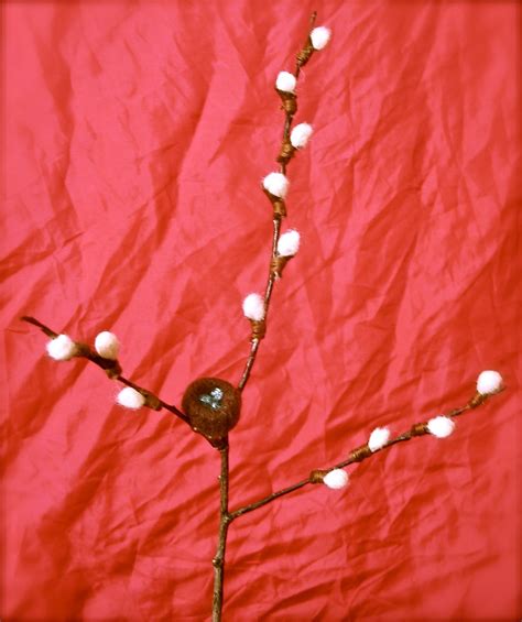 Twig And Toadstool Pussy Willow Wonderment