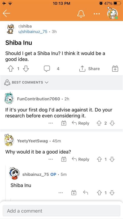 Shiba Inu : r/skamtebord