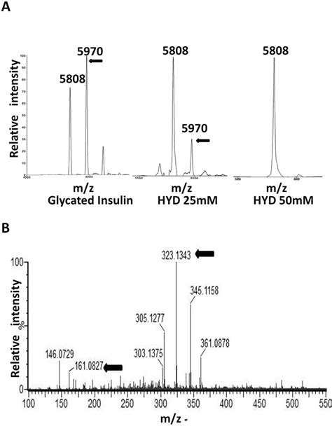 In Vitro Transglycation Activity Of Hydralazine A Glycated Insulin