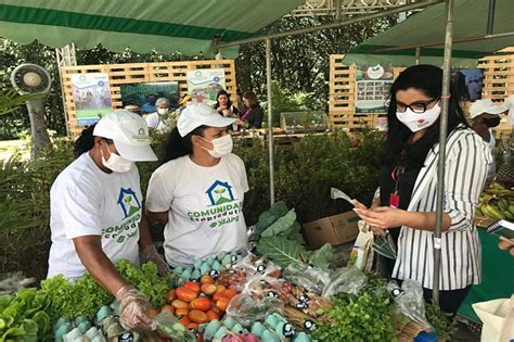 Quintais Ecoprodutivos Buscam Solu Es Para Inseguran A Cidades