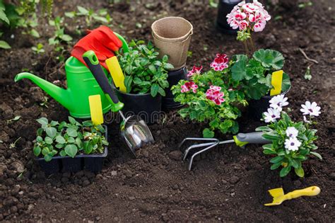 Herramientas Que Cultivan Un Huerto Y Flores En El Pote Para Plantar En