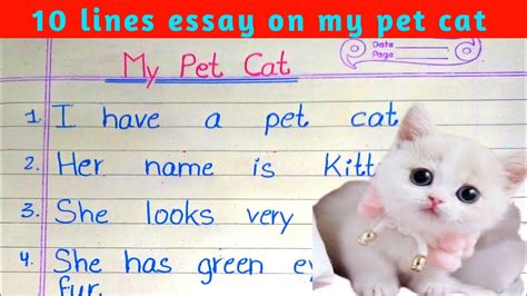 10 Lines Essay On My Pet Cat Ll Essay On My Pet Cat In English