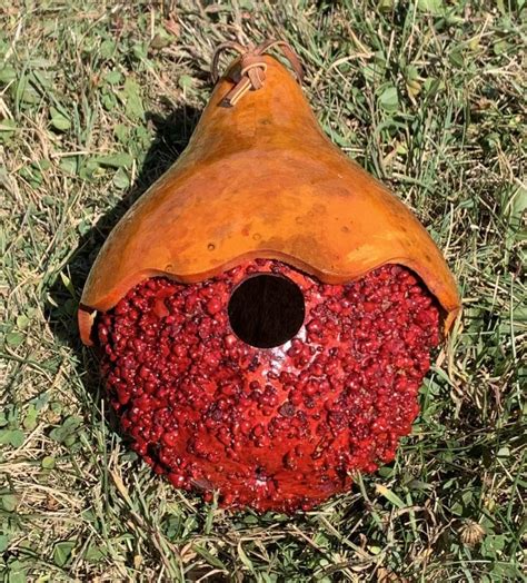 Warty Gourd Birdhouse With Hat 1 5 Hole Amish Gourds