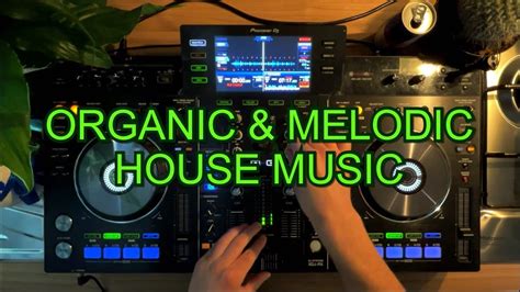 3 Organic Melodic House Music Late Night DJ Set Medrink