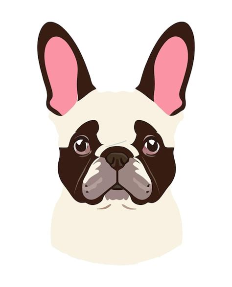 Premium Vector | Funny bulldog face isolated outlined vector illustration