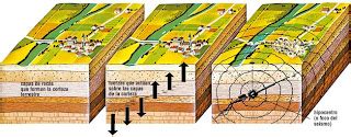 diana orozco: Types of seismic waves