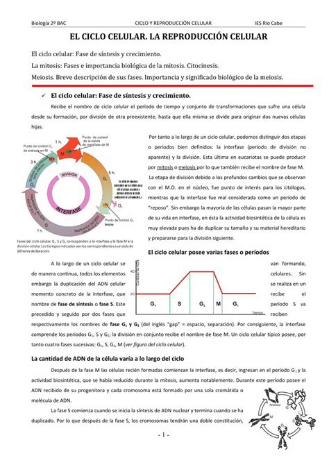 PDF EL CICLO CELULAR LA REPRODUCCIÓN CELULAR a 2º BAC CICLO Y