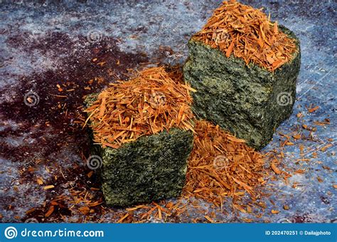 Catuaba Bark Herbal Tea Stock Image Image Of Brazilian 202470251