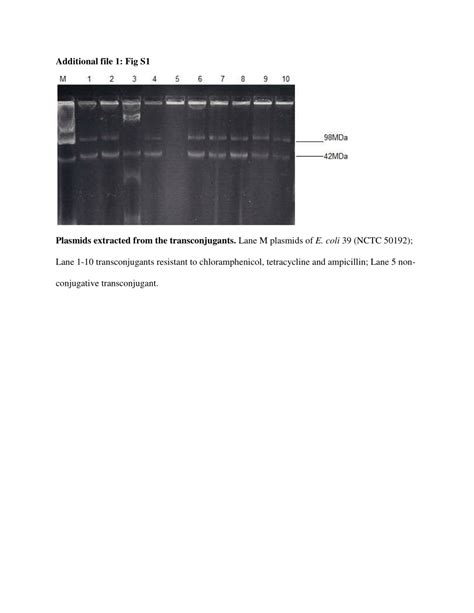 Pdf Plasmid Profiling And Incompatibility Grouping Of Multidrug